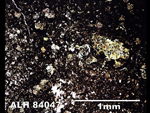 Thin Section Photo of Sample ALH 84047 in Plane-Polarized Light