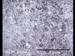 Thin Section Photo of Sample ALH 84047 in Reflected Light