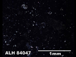 Thin Section Photo of Sample ALH 84047 in Cross-Polarized Light