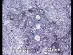 Thin Section Photo of Sample ALH 84048 in Reflected Light