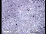 Thin Section Photo of Sample ALH 84049 in Reflected Light
