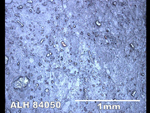 Thin Section Photo of Sample ALH 84050 in Reflected Light
