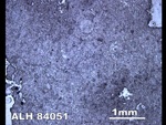 Thin Section Photo of Sample ALH 84051 in Reflected Light