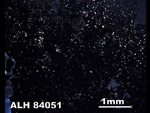 Thin Section Photo of Sample ALH 84051 in Cross-Polarized Light