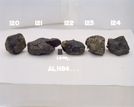 South View of Sample Group for Sample ALH 84120 (Photo Number: S86-33305)