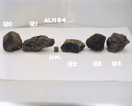 North View of Sample Group for Sample ALH 84120 (Photo Number: S86-33320)
