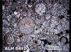 Thin Section Photograph of Sample ALH 84120 in Plane-Polarized Light