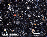 Thin Section Photo of Sample ALH 85003 in Cross-Polarized Light
