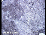 Thin Section Photo of Sample ALH 85004 in Reflected Light