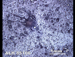 Thin Section Photo of Sample ALH 85106 in Reflected Light
