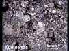 Thin Section Photograph of Sample ALH 85155 in Plane-Polarized Light