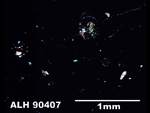 Thin Section Photo of Sample ALH 90407 in Cross-Polarized Light