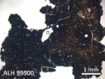 Thin Section Photo of Sample ALH 99500 in Plane-Polarized Light with 5X Magnification