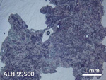 Thin Section Photo of Sample ALH 99500 in Reflected Light with 5X Magnification