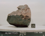 West View of Sample ALHA77015 (Photo Number: S79-25558)