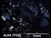 Thin Section Photograph of Sample ALHA 77033 in Cross-Polarized Light