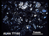 Thin Section Photograph of Sample ALHA 77160 in Cross-Polarized Light