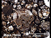 Thin Section Photograph of Sample ALHA 77164 in Plane-Polarized Light