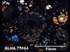 Thin Section Photograph of Sample ALHA 77164 in Cross-Polarized Light