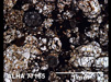 Thin Section Photograph of Sample ALHA 77165 in Plane-Polarized Light
