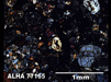 Thin Section Photograph of Sample ALHA 77165 in Cross-Polarized Light