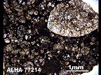 Thin Section Photograph of Sample ALHA 77214 in Plane-Polarized Light