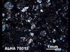 Thin Section Photograph of Sample ALHA 78013 in Cross-Polarized Light