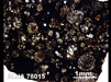 Thin Section Photograph of Sample ALHA 78015 in Plane-Polarized Light