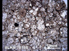 Thin Section Photograph of Sample ALHA 78188 in Plane-Polarized Light