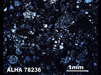 Thin Section Photograph of Sample ALHA 78236 in Cross-Polarized Light