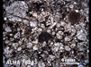 Thin Section Photograph of Sample ALHA 78243 in Plane-Polarized Light