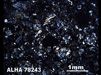 Thin Section Photograph of Sample ALHA 78243 in Cross-Polarized Light