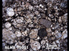 Thin Section Photograph of Sample ALHA 79001 in Plane-Polarized Light