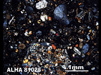 Thin Section Photograph of Sample ALHA 81025 in Cross-Polarized Light