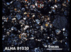 Thin Section Photograph of Sample ALHA 81030 in Cross-Polarized Light