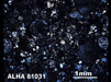 Thin Section Photograph of Sample ALHA 81031 in Cross-Polarized Light