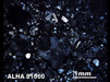 Thin Section Photograph of Sample ALHA 81060 in Cross-Polarized Light