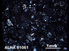 Thin Section Photograph of Sample ALHA 81061 in Cross-Polarized Light