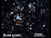 Thin Section Photograph of Sample ALHA 81065 in Cross-Polarized Light