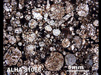 Thin Section Photograph of Sample ALHA 81066 in Plane-Polarized Light