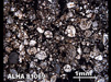 Thin Section Photograph of Sample ALHA 81069 in Plane-Polarized Light