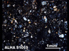Thin Section Photograph of Sample ALHA 81069 in Cross-Polarized Light