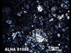 Thin Section Photograph of Sample ALHA 81085 in Cross-Polarized Light