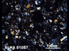 Thin Section Photograph of Sample ALHA 81087 in Cross-Polarized Light