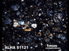 Thin Section Photograph of Sample ALHA 81121 in Cross-Polarized Light