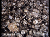 Thin Section Photograph of Sample ALHA 81156 in Plane-Polarized Light