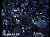 Thin Section Photograph of Sample ALHA 81191 in Cross-Polarized Light