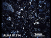 Thin Section Photograph of Sample ALHA 81214 in Cross-Polarized Light