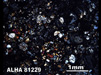 Thin Section Photograph of Sample ALHA 81229 in Cross-Polarized Light