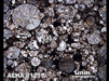 Thin Section Photograph of Sample ALHA 81259 in Plane-Polarized Light